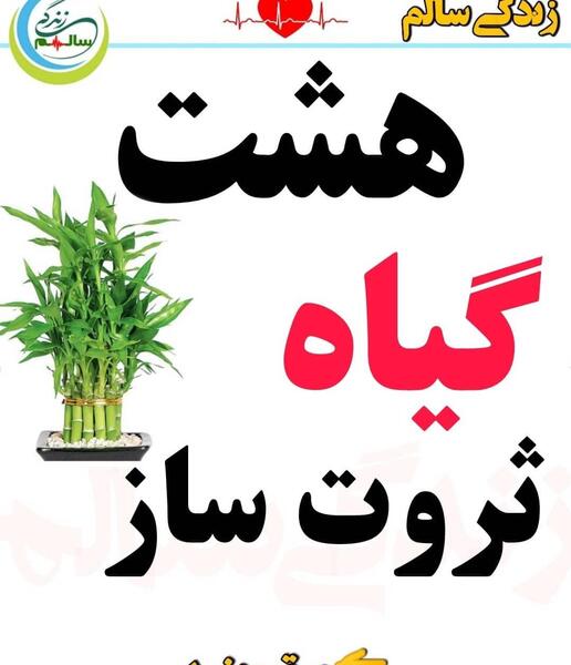 عکس گل رزق و روزی