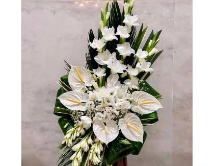 عکس گل سفید برای تسلیت