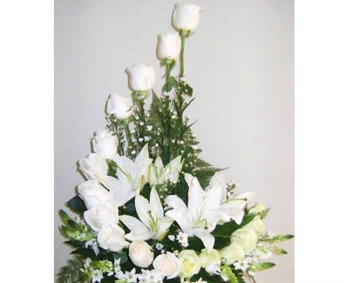 عکس گل سفید برای تسلیت