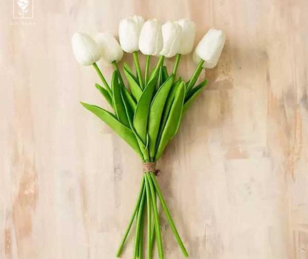 عکس گل سفید برای تسلیت
