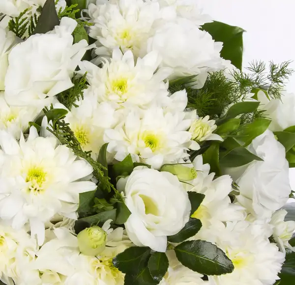 عکس گل سفید برای تسلیت