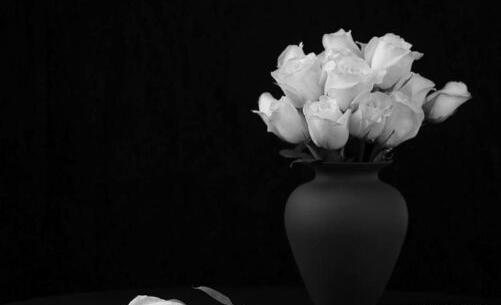 عکس گل سفید برای تسلیت