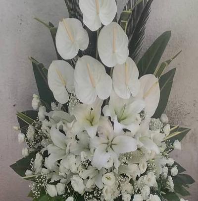 عکس گل سفید برای تسلیت