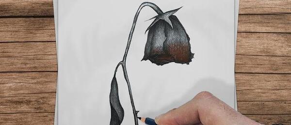 عکس گل مشکی پژمرده