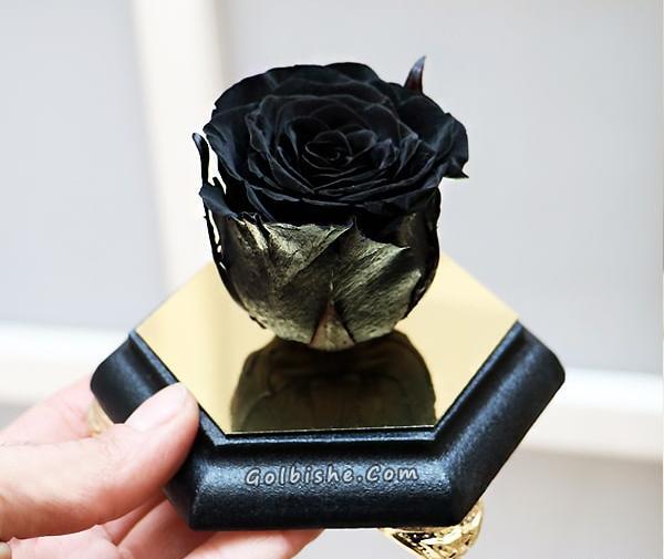 عکس گل مشکی پژمرده