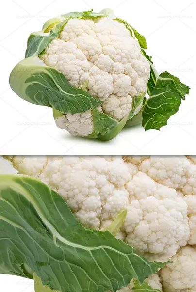 عکس گل کلم سبز