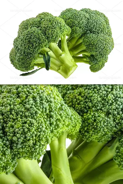 عکس گل کلم سبز