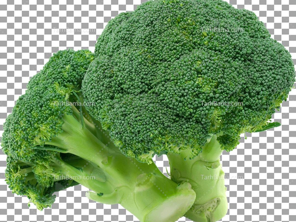 عکس گل کلم سبز