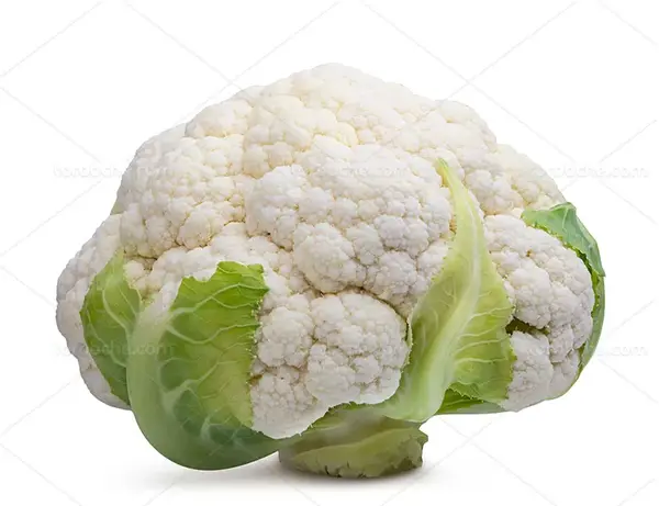 عکس گل کلم سبز