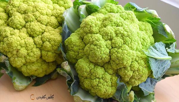 عکس گل کلم سبز