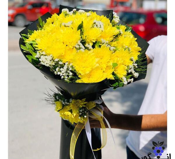 عکس گل داوودی سیاه