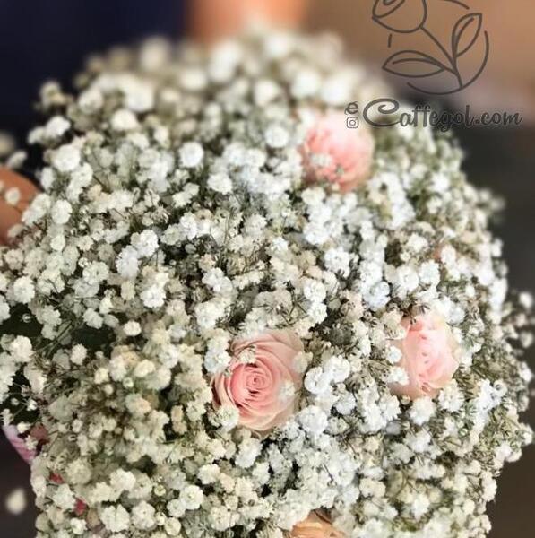 عکس گل داوودی سیاه