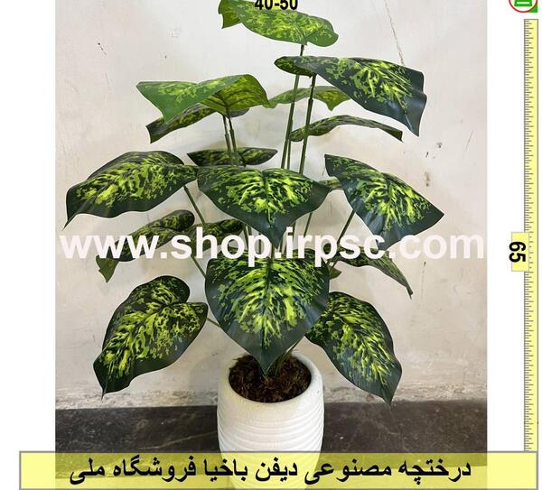 عکس گل دیفن باخیا صورتی