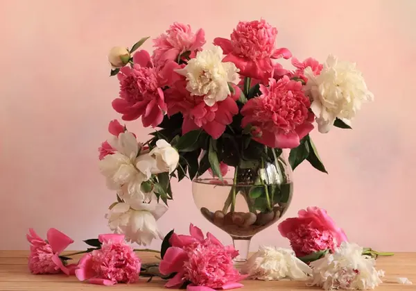 عکس گل های جدید و زیبا