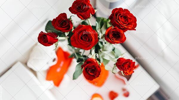 عکس گل و گلدان با کیفیت بالا