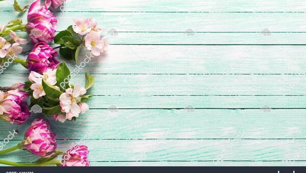 عکس های حاشیه گل دار