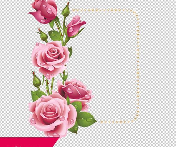 عکس های حاشیه گل دار