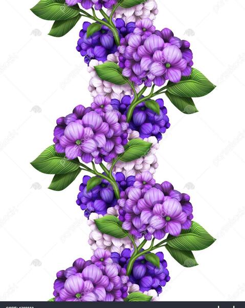 عکس های حاشیه گل دار