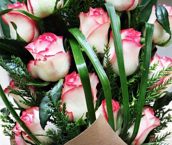 عکس دسته گل رز سبز