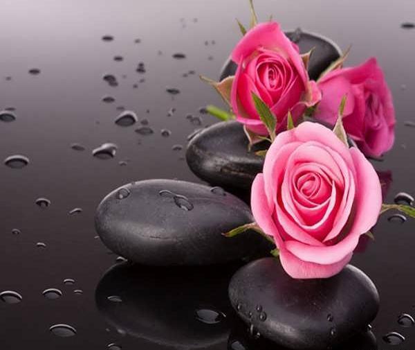 عکس گل عشق جدید ایرانی