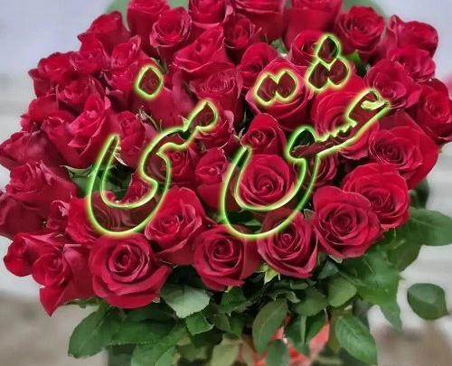 عکس گل عشق جدید ایرانی