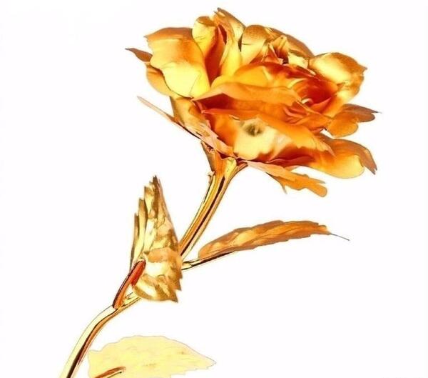 عکس گل طلایی واقعی