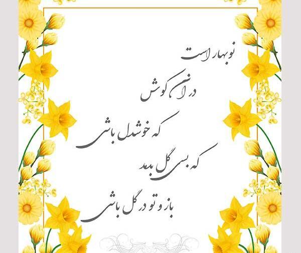 دانلود عکس گل نرگس زیبا