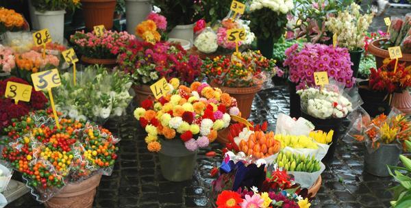 عکس گل فروشی های تهران