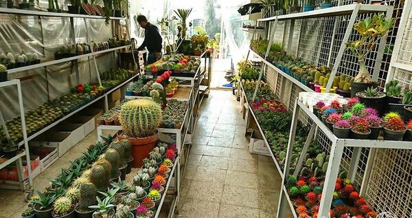 عکس گل فروشی های تهران