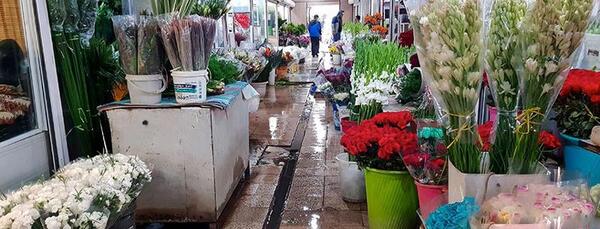 عکس گل فروشی های تهران