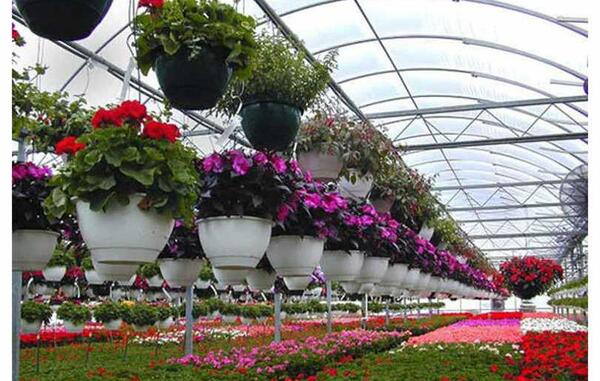 عکس گل فروشی های تهران