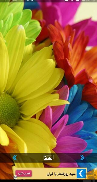 عکس گل و گیاه برای تصویر زمینه