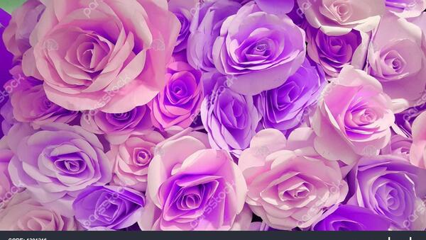 عکس گل و گیاه برای تصویر زمینه