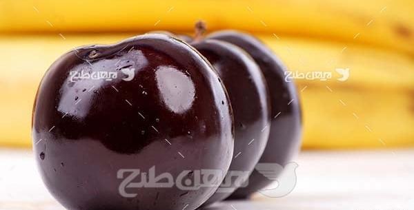 عکس میوه آلو سیاه