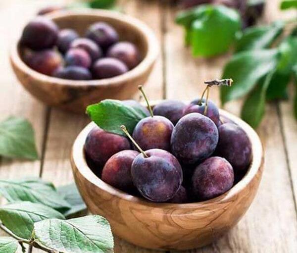 عکس میوه آلو سیاه