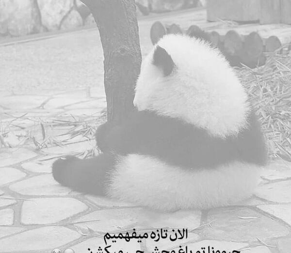 عکس سیاه سفید دخترونه غمگین با متن