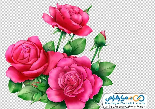 عکس گل طراحی رز
