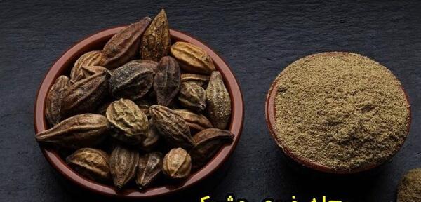 عکس از هلیله سیاه