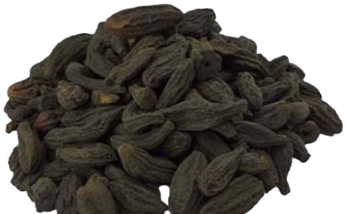 عکس از هلیله سیاه