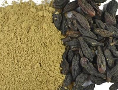 عکس از هلیله سیاه