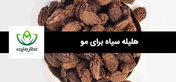 عکس از هلیله سیاه