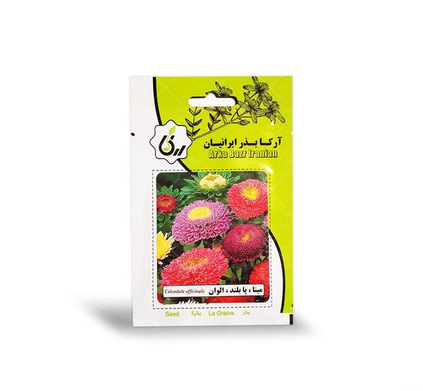 عکس گل مینای پاییزه