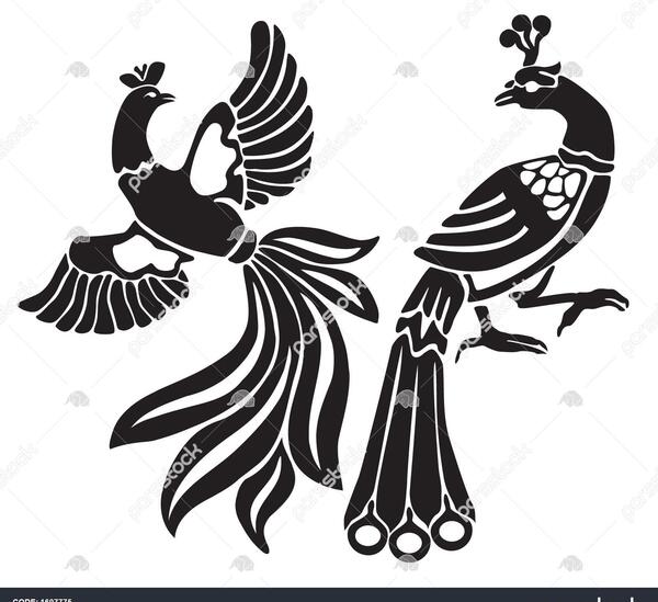 عکس طاووس سیاه سفید