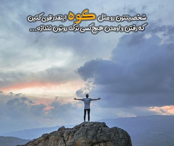 عکس گل تنها در کوهستان