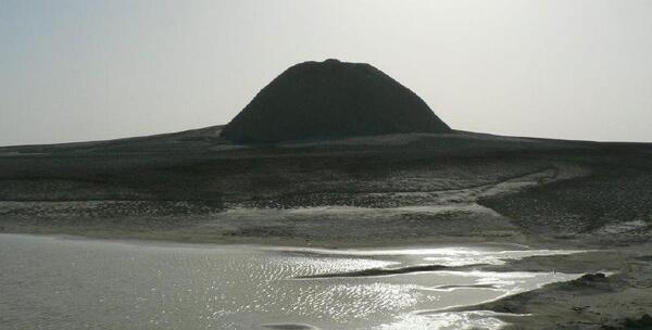 عکس گل تنها در کوهستان