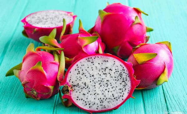 عکس گل کاکتوس میوه دار