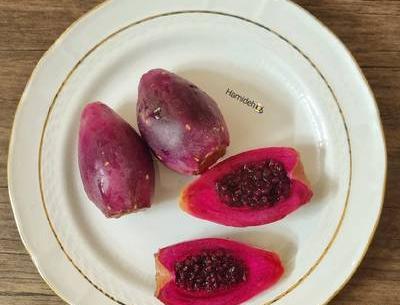 عکس گل کاکتوس میوه دار