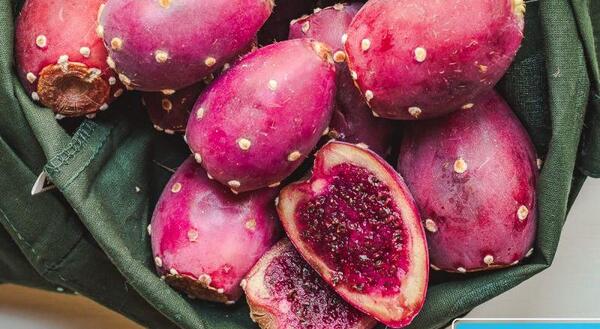 عکس گل کاکتوس میوه دار