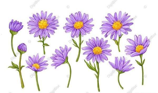 عکس گل کارتونی فانتزی