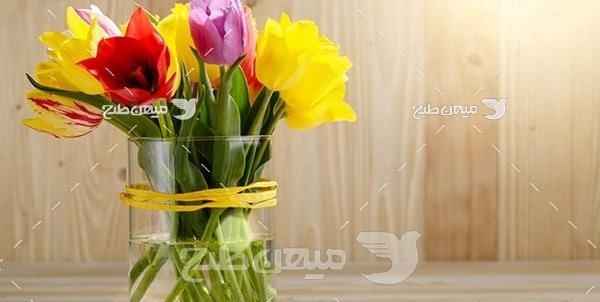 عکس گل آبی پررنگ